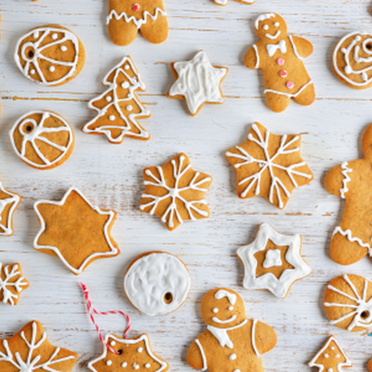Festive biscuit decorating workshop
