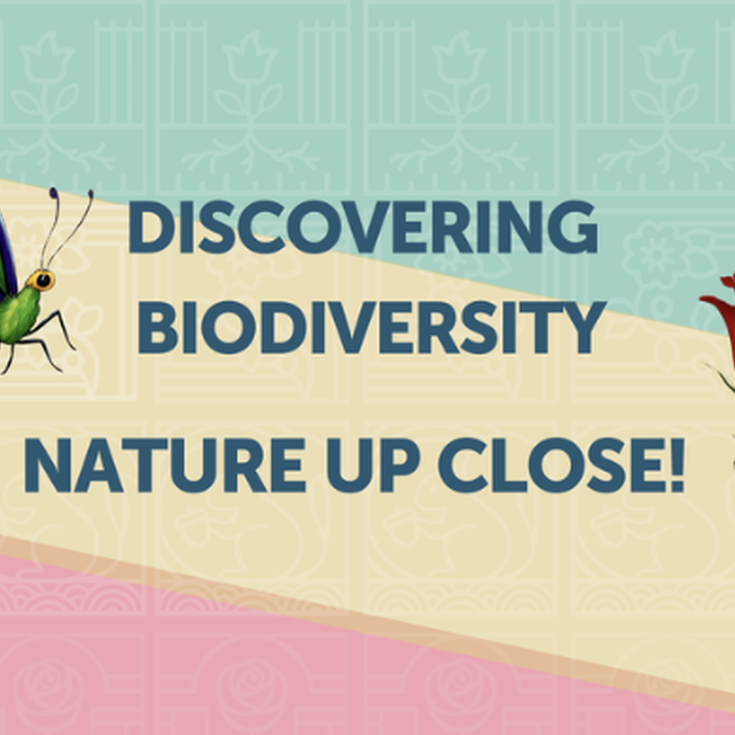 Discovering Biodiversity: Nature Up Close!