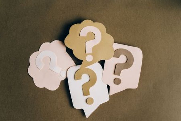 End of Year Quiz